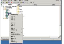 云服务器在IIS中怎么绑定域名？-主机测评网