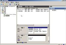 小鸟云服务器如何进行数据盘挂载？(Windows)-主机测评网