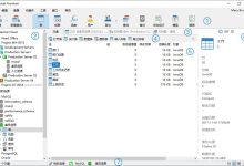 一文读懂数据库管理工具 Navicat 和 DBeaver-主机测评网
