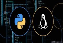 我在大学毕业后学习Linux系统的心得经验-主机测评网