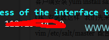 saltstack自动化运维快速入门-主机测评网