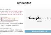 几款网站安全检测工具推荐(可查杀网站源码后门病毒)-主机测评网